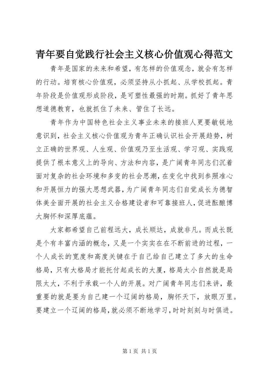 2023年青年要自觉践行社会主义核心价值观心得2.docx_第1页