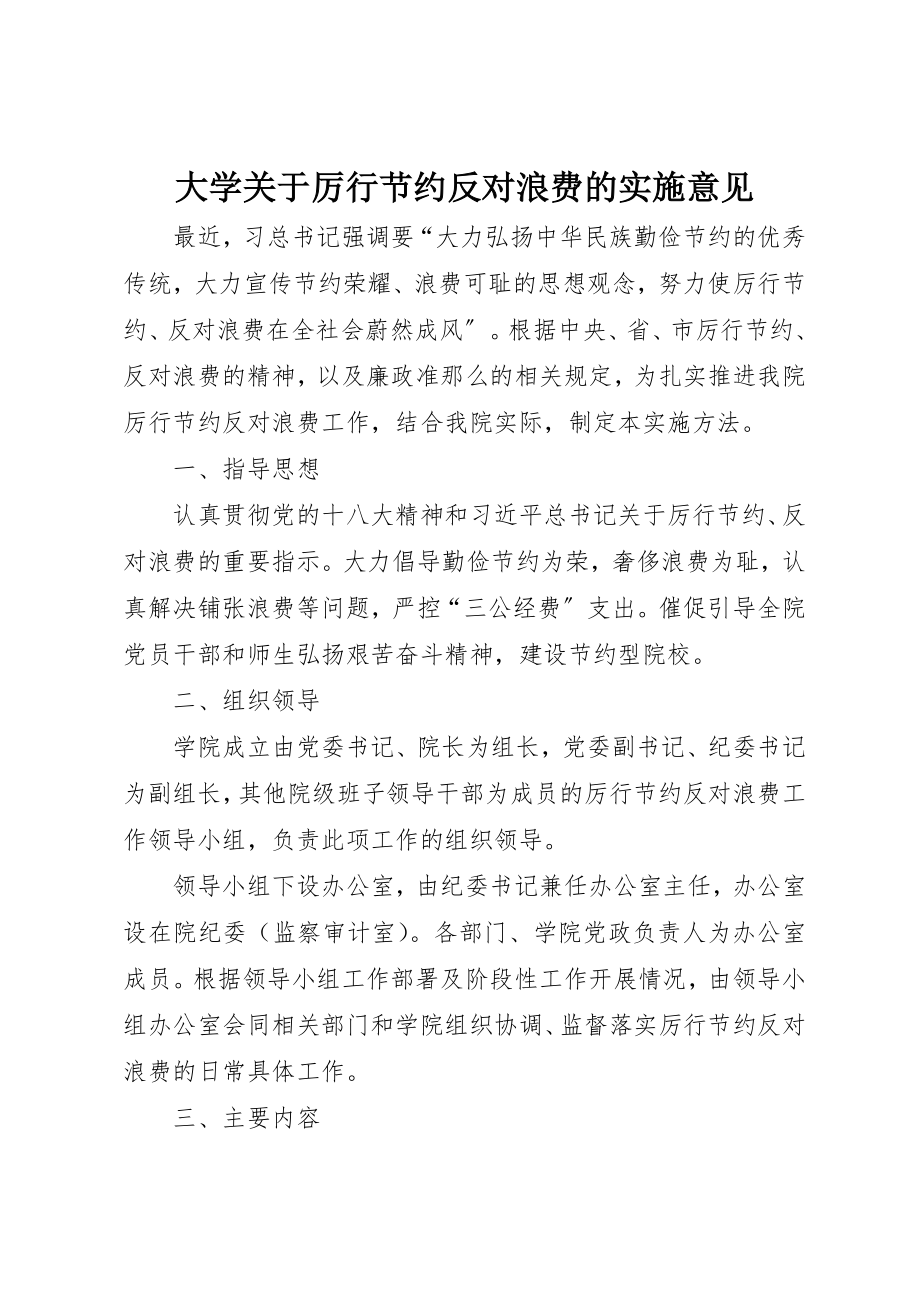 2023年大学关于厉行节约反对浪费的实施意见.docx_第1页