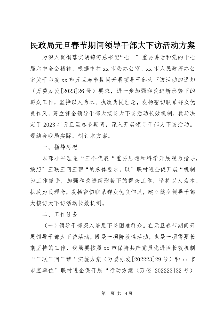 2023年民政局元旦春节期间领导干部大下访活动方案.docx_第1页