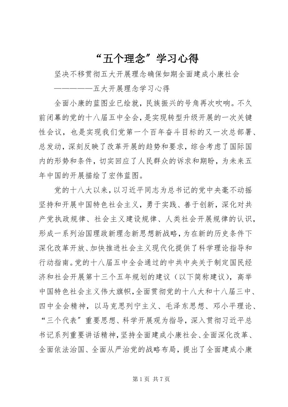 2023年五个理念学习心得.docx_第1页