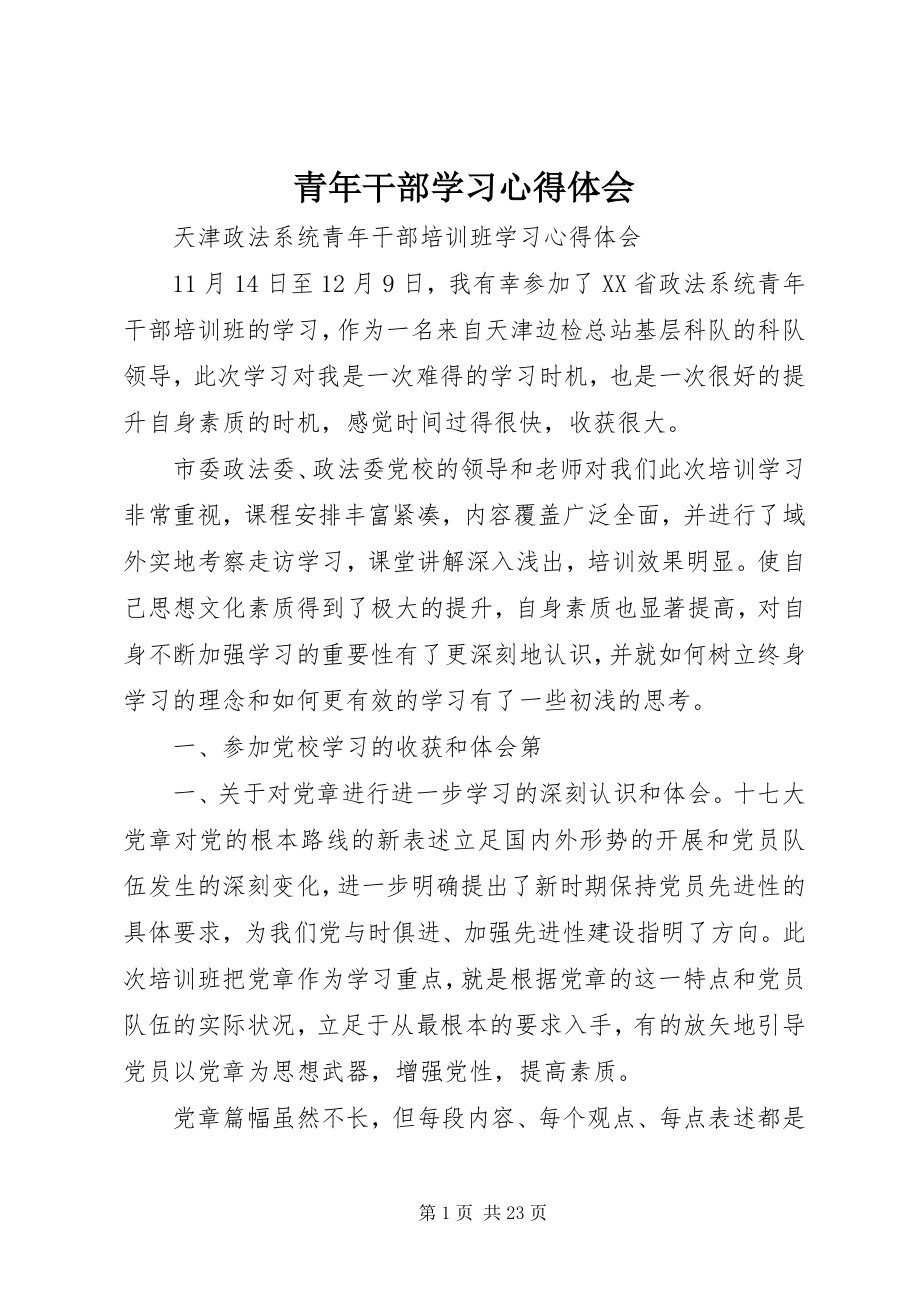 2023年青年干部学习心得体会.docx_第1页