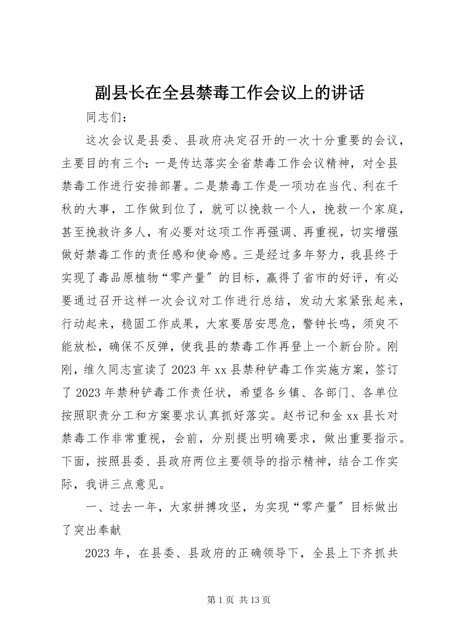 2023年副县长在全县禁毒工作会议上的致辞.docx_第1页