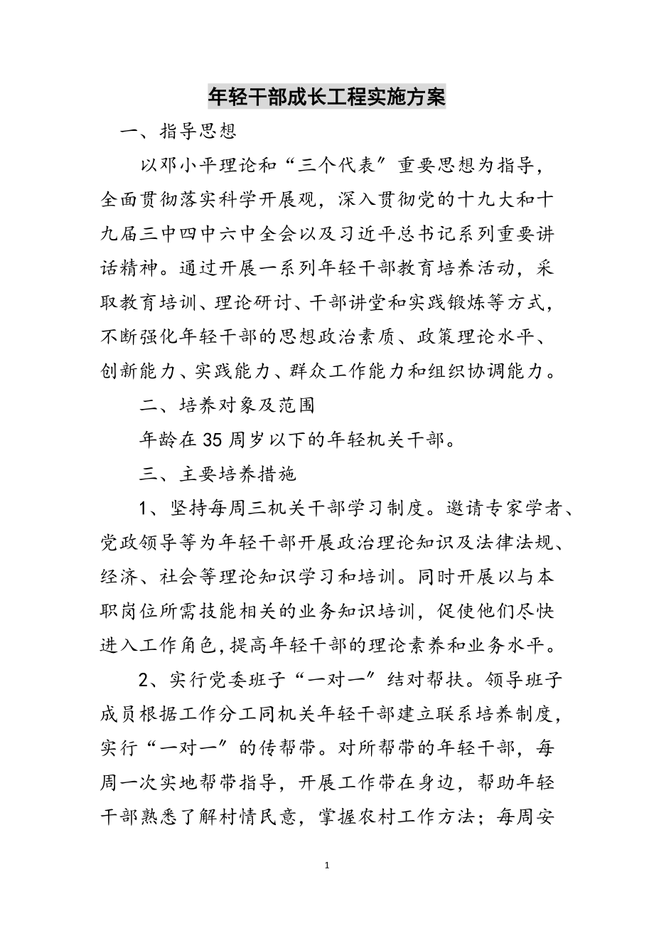 2023年年轻干部成长工程实施方案范文.doc_第1页