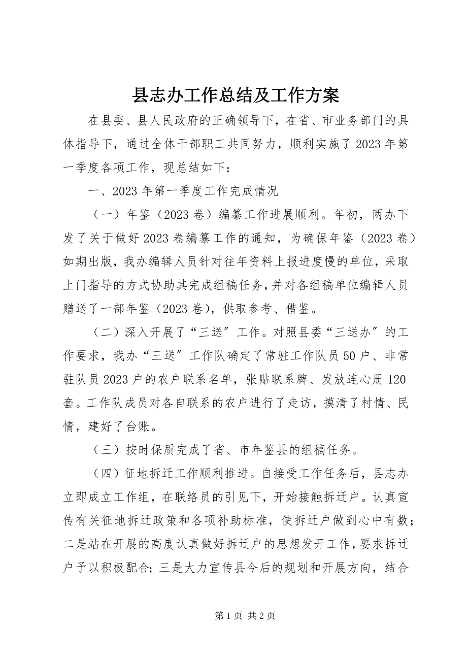 2023年县志办工作总结及工作计划.docx_第1页