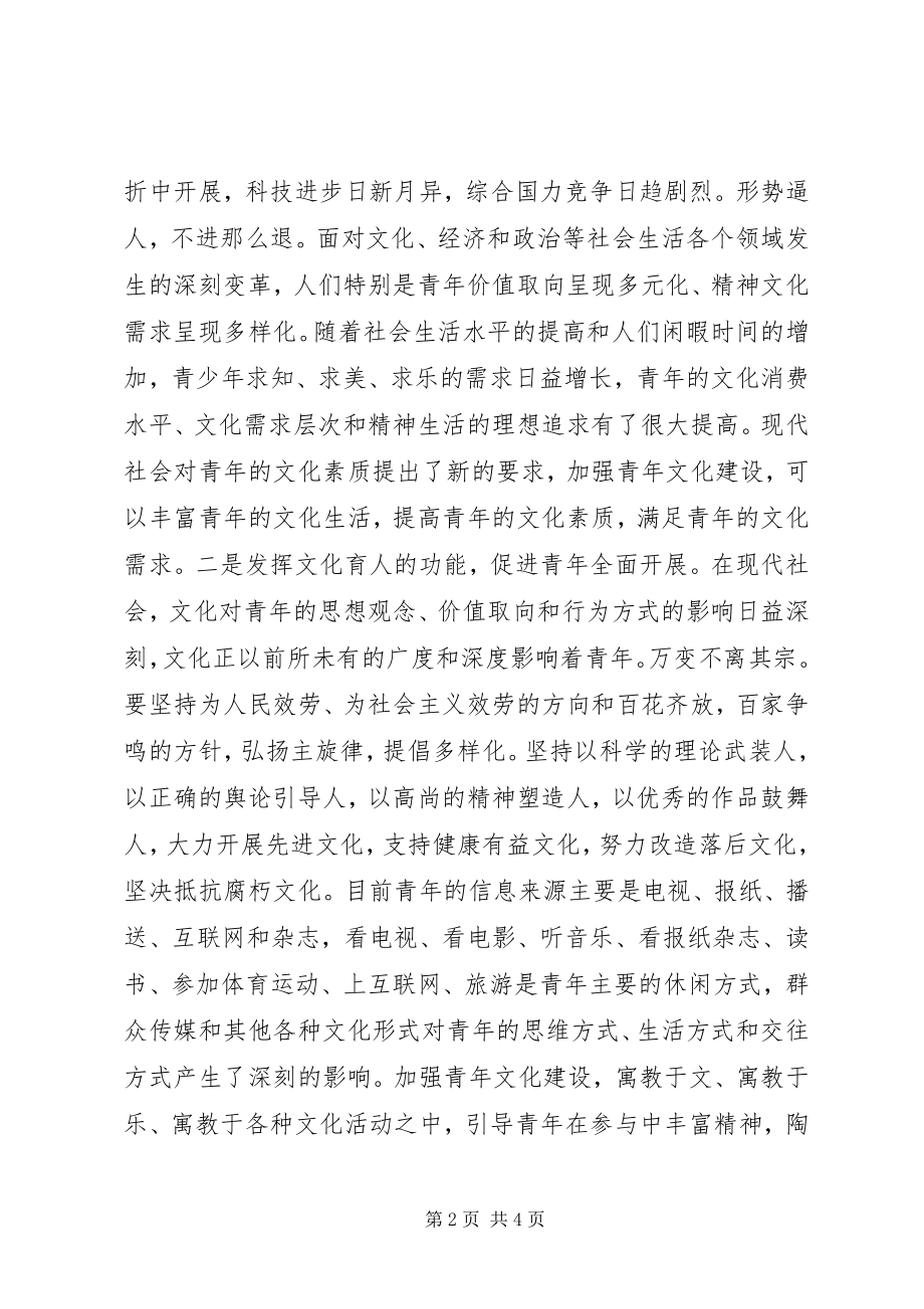 2023年新时期青年文化建设思考措施.docx_第2页