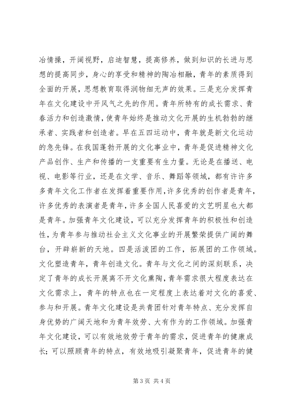 2023年新时期青年文化建设思考措施.docx_第3页