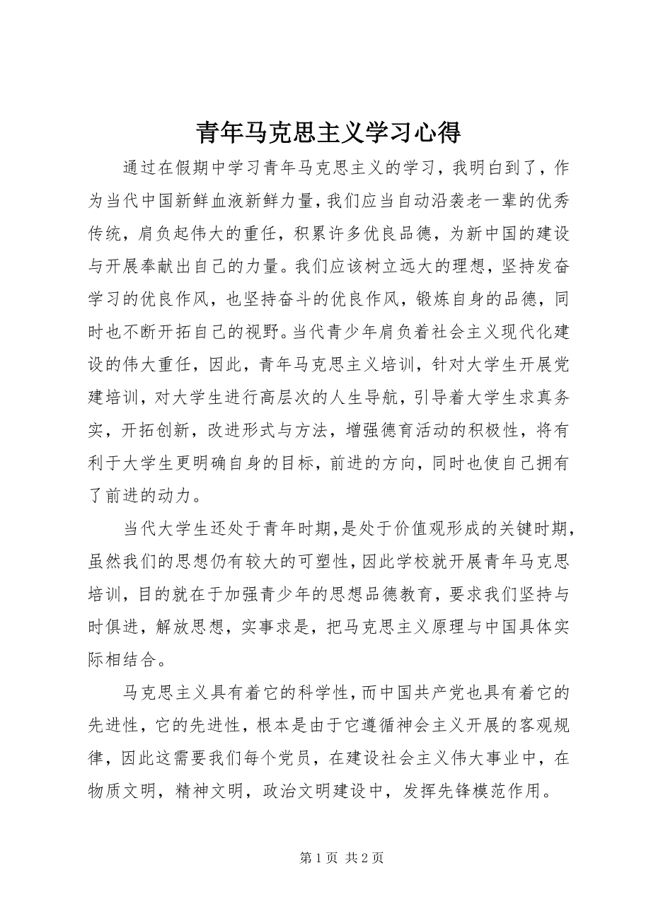 2023年青年马克思主义学习心得.docx_第1页