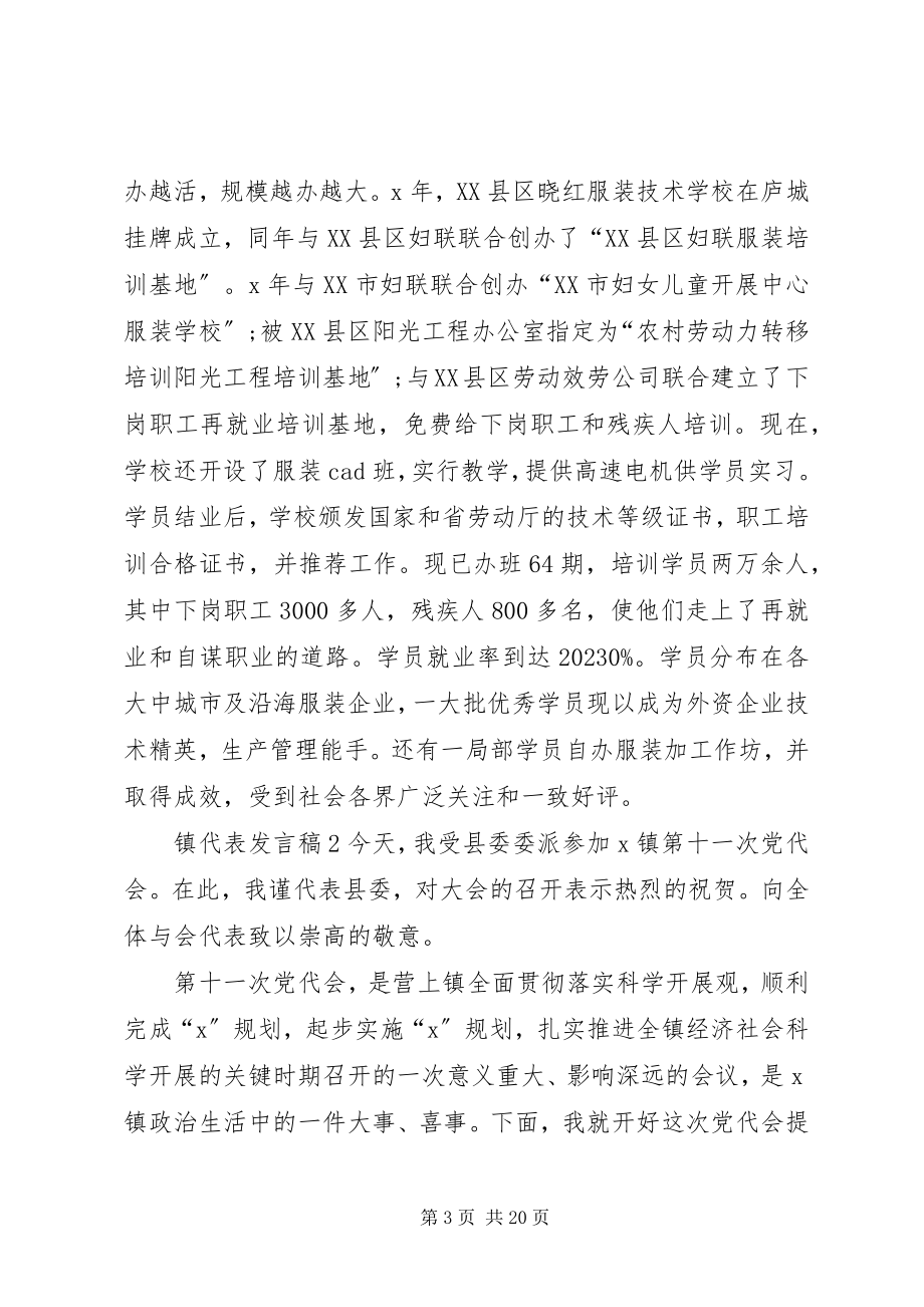 2023年镇代表讲话稿.docx_第3页