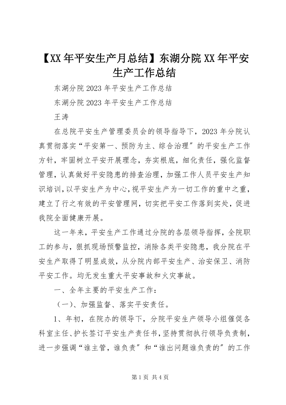 2023年安全生产月总结东湖分院安全生产工作总结新编.docx_第1页