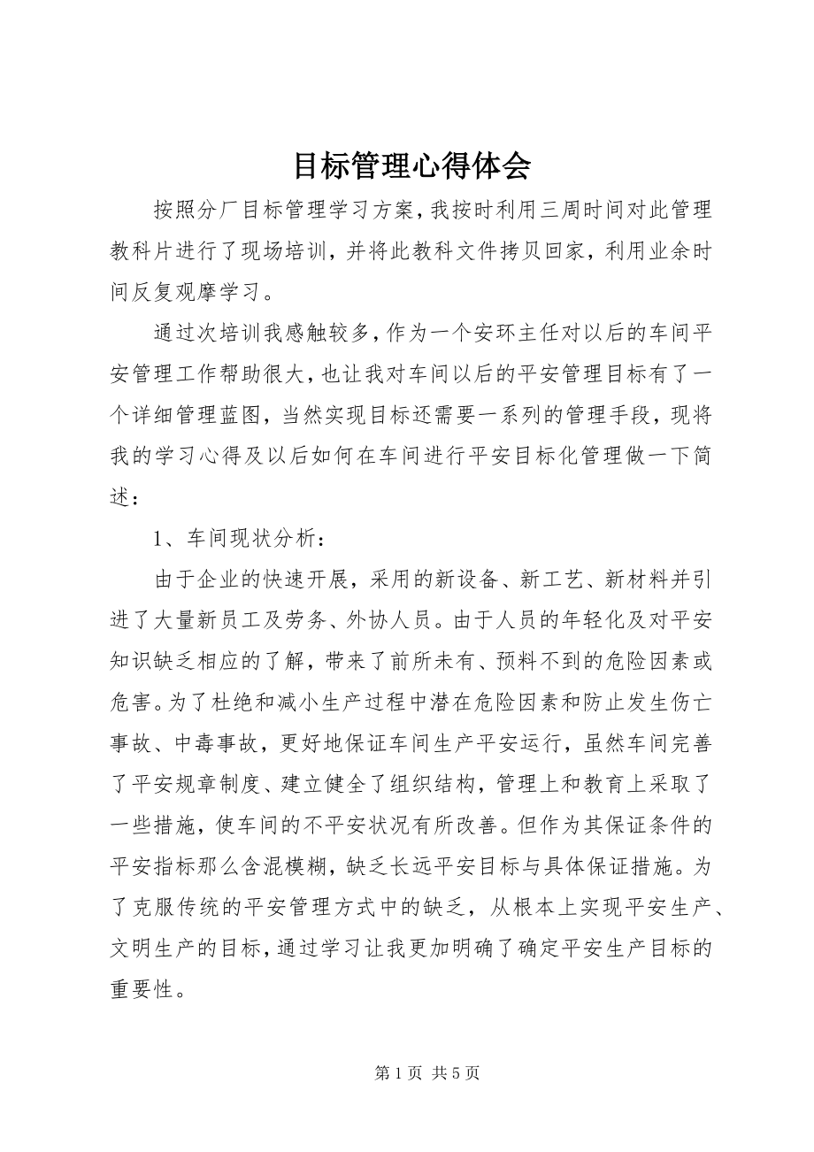 2023年目标管理心得体会.docx_第1页