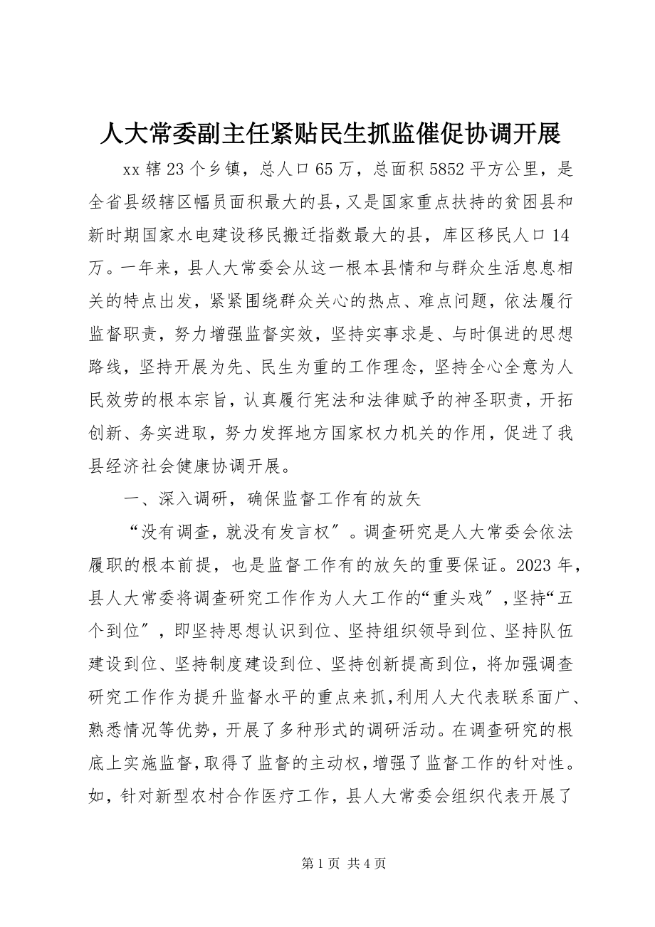 2023年人大常委副主任紧贴民生抓监督促协调发展.docx_第1页