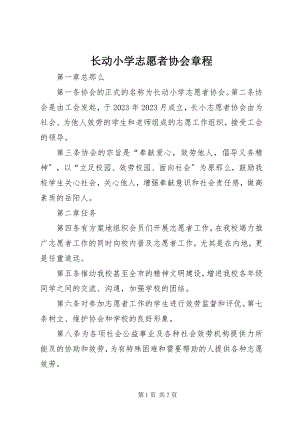 2023年长动小学志愿者协会章程.docx