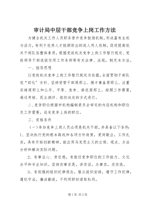 2023年审计局中层干部竞争上岗工作办法.docx