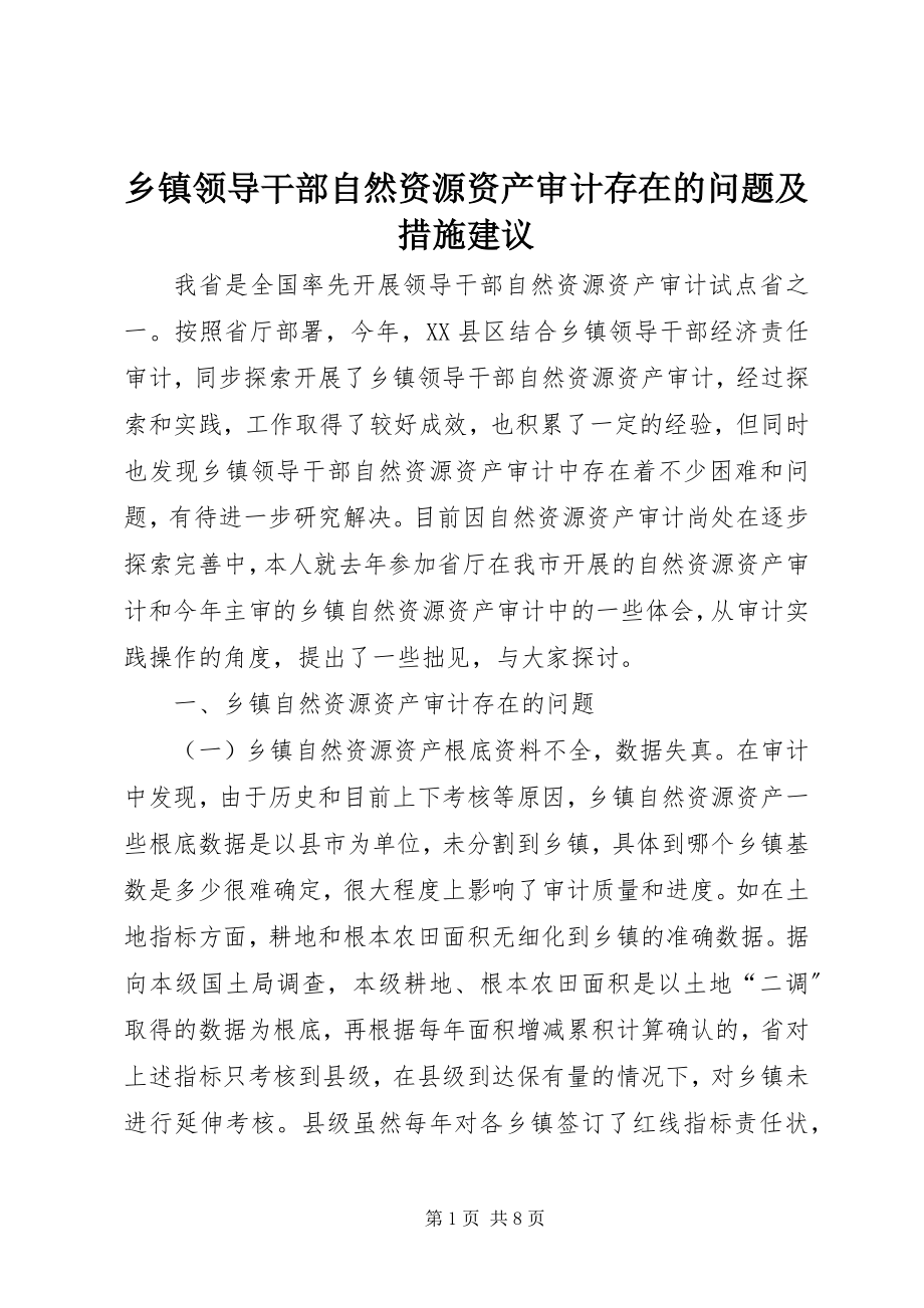 2023年乡镇领导干部自然资源资产审计存在的问题及措施建议.docx_第1页