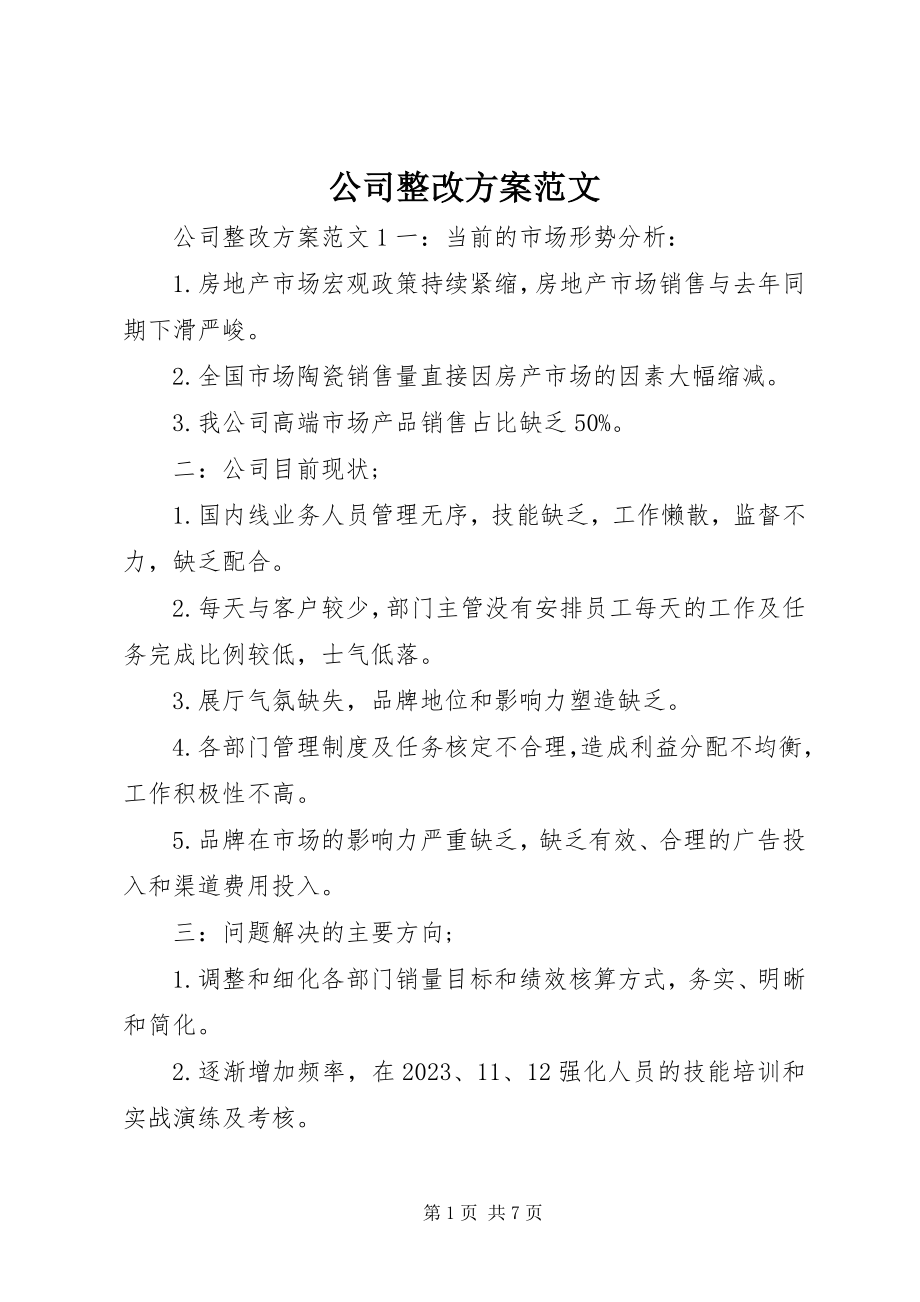 2023年公司整改方案.docx_第1页