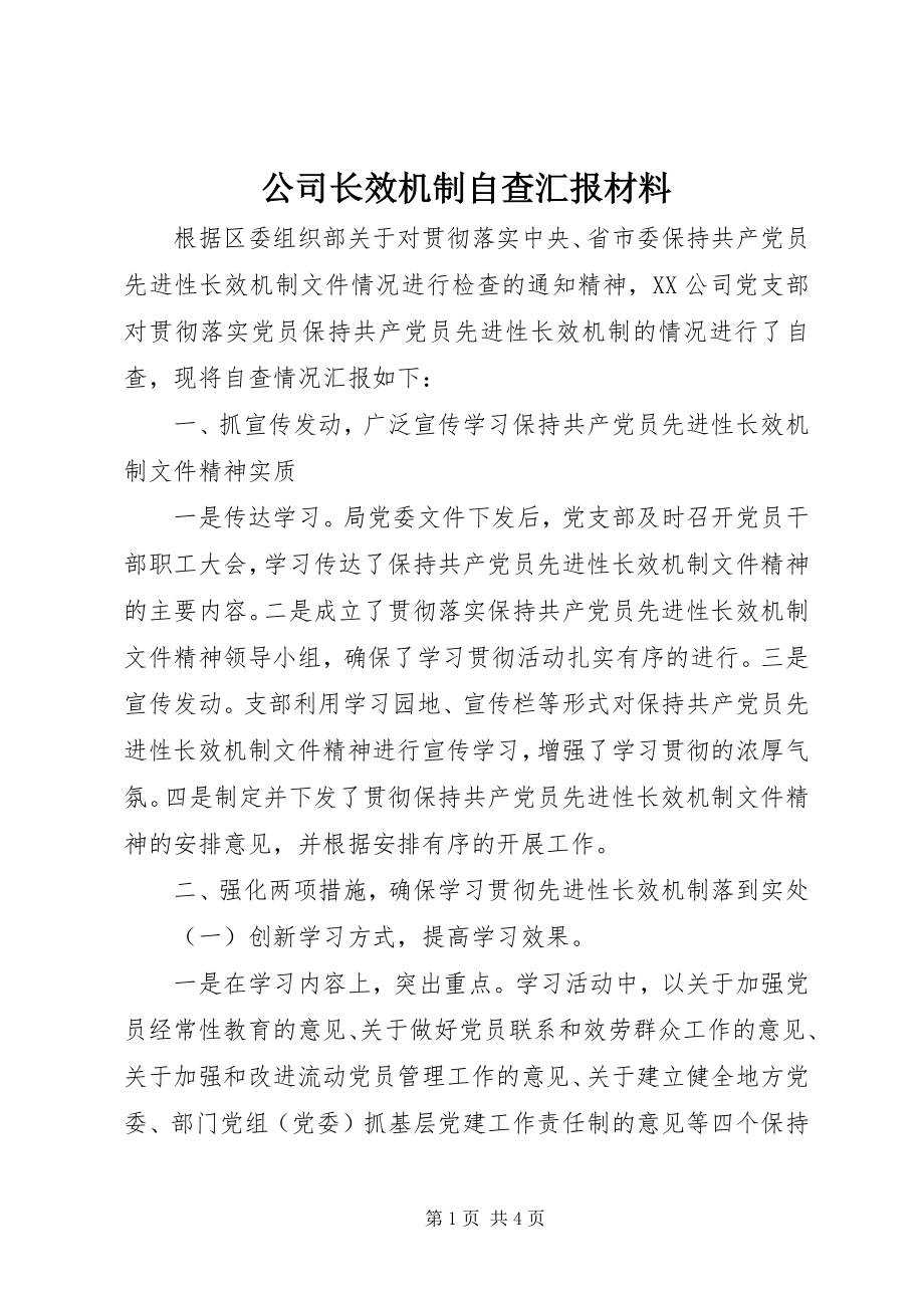 2023年公司长效机制自查汇报材料.docx_第1页