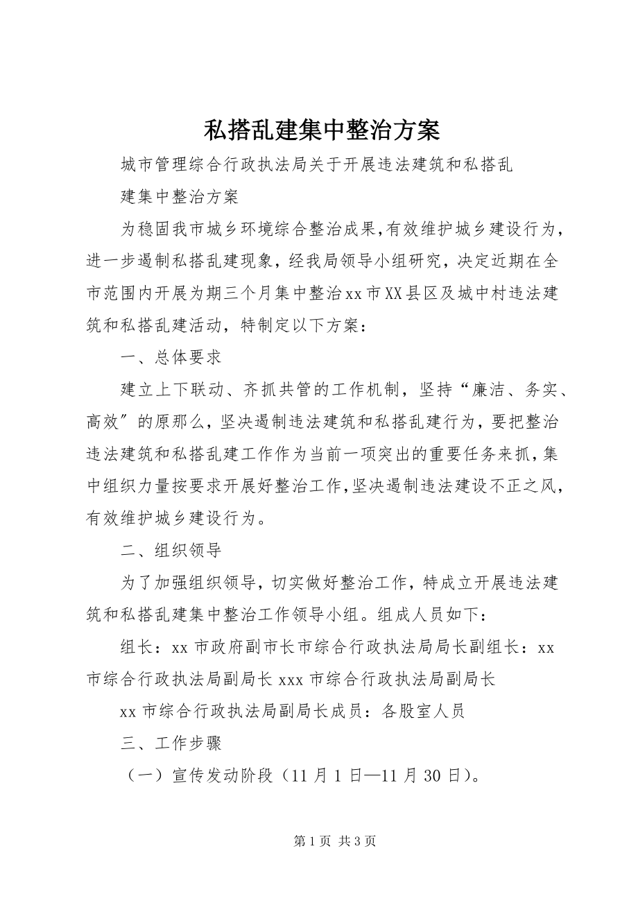 2023年私搭乱建集中整治方案.docx_第1页