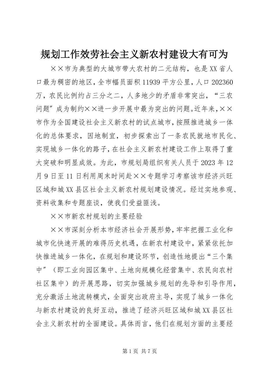 2023年规划工作服务社会主义新农村建设大有可为.docx_第1页