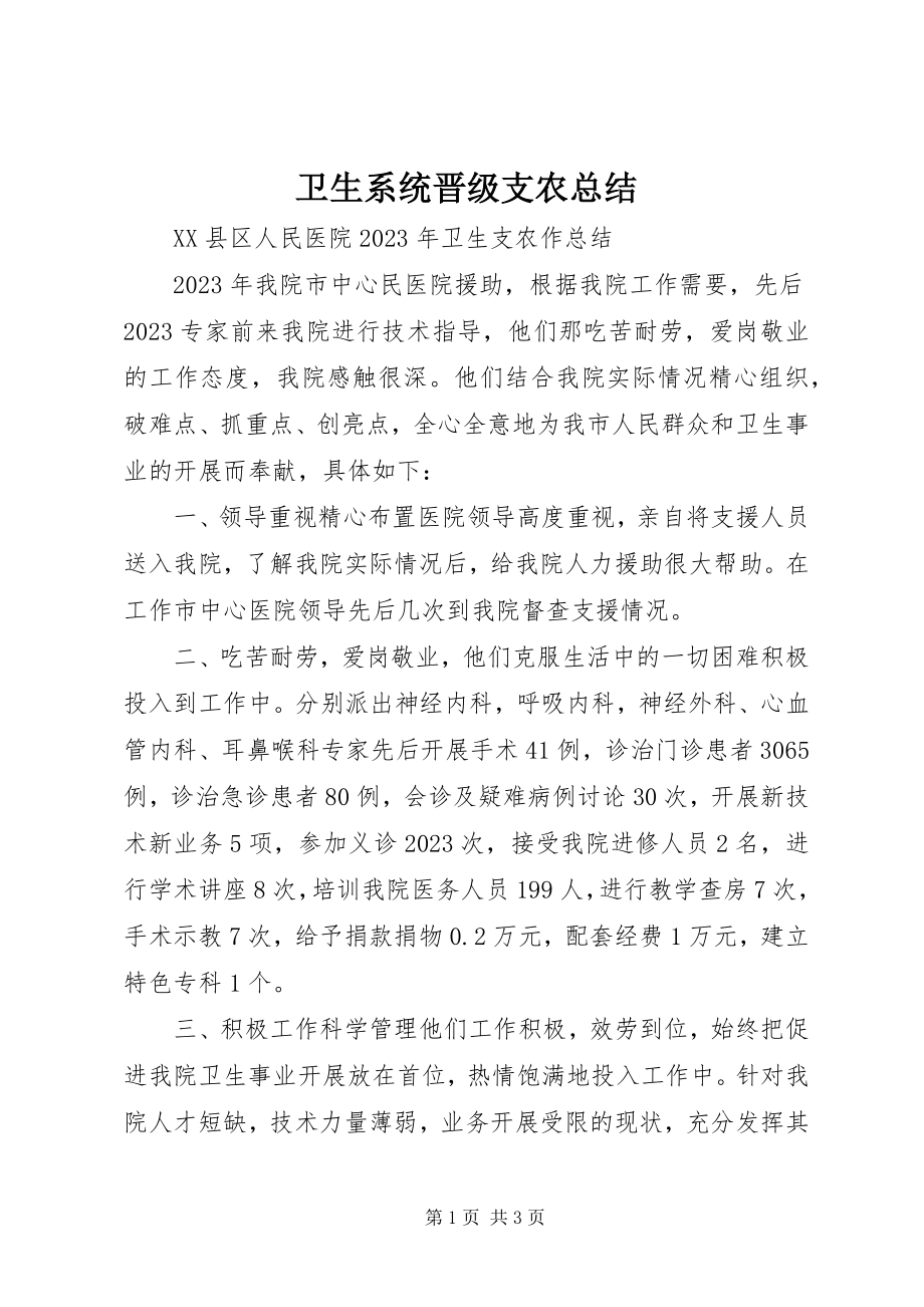 2023年卫生系统晋级支农总结.docx_第1页