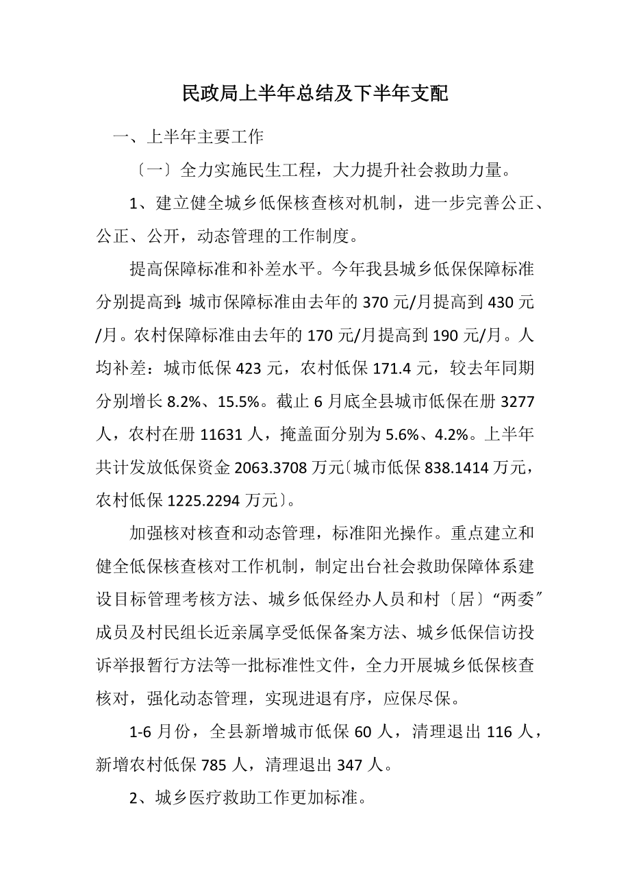 2023年民政局上半年总结及下半年安排.docx_第1页