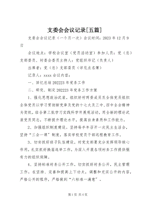 2023年支委会会议记录五篇.docx