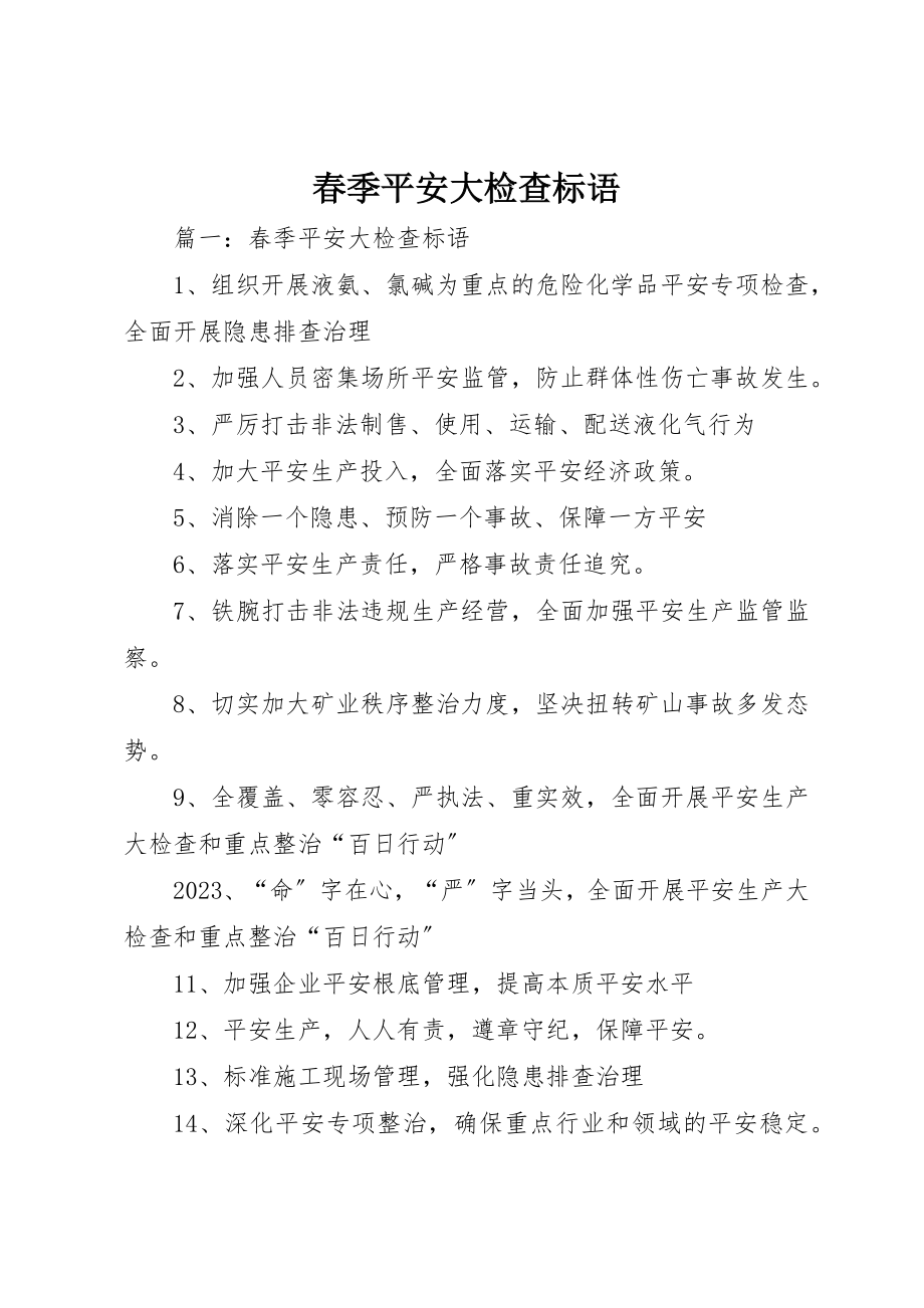 2023年春季安全大检查标语新编.docx_第1页