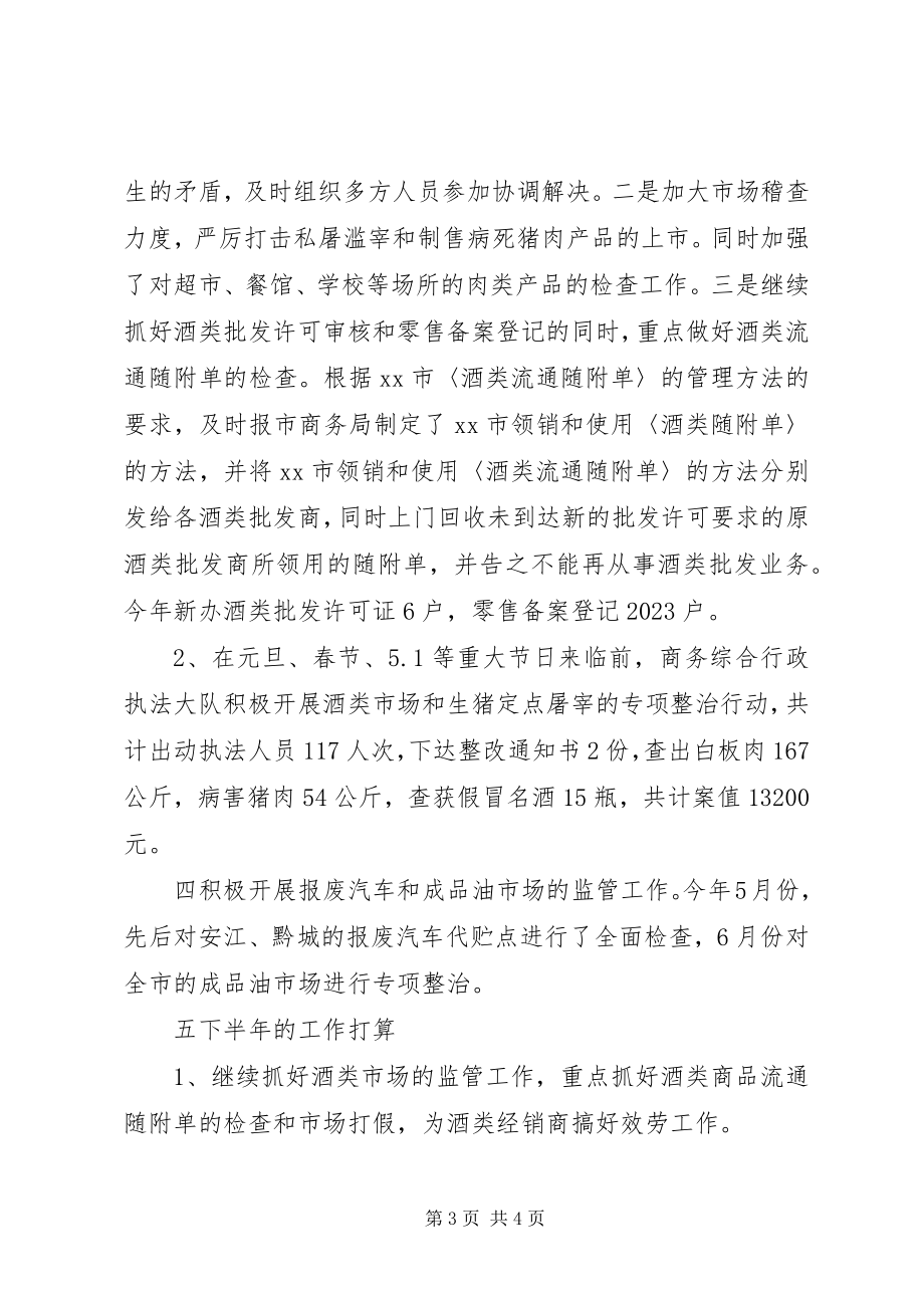 2023年市商务综合行政执法半年工作总结.docx_第3页