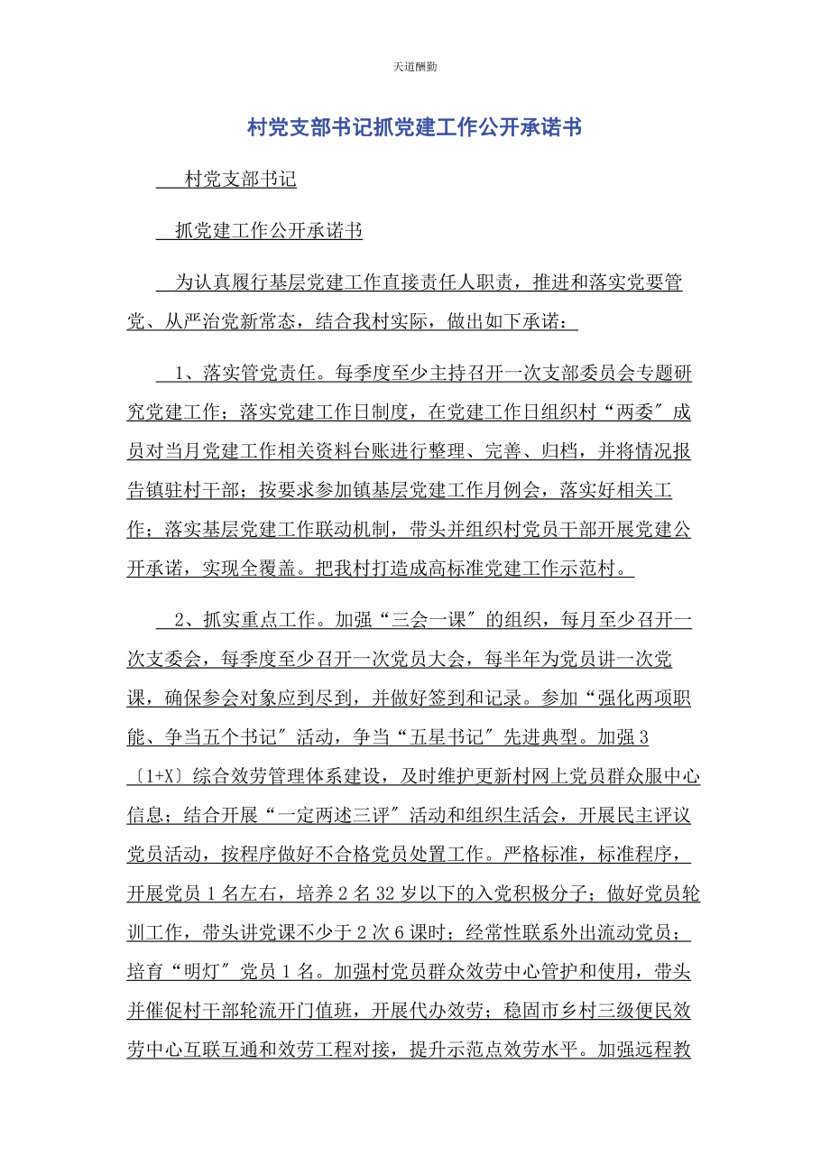 2023年村党支部书记抓党建工作公开承诺书范文.docx_第1页