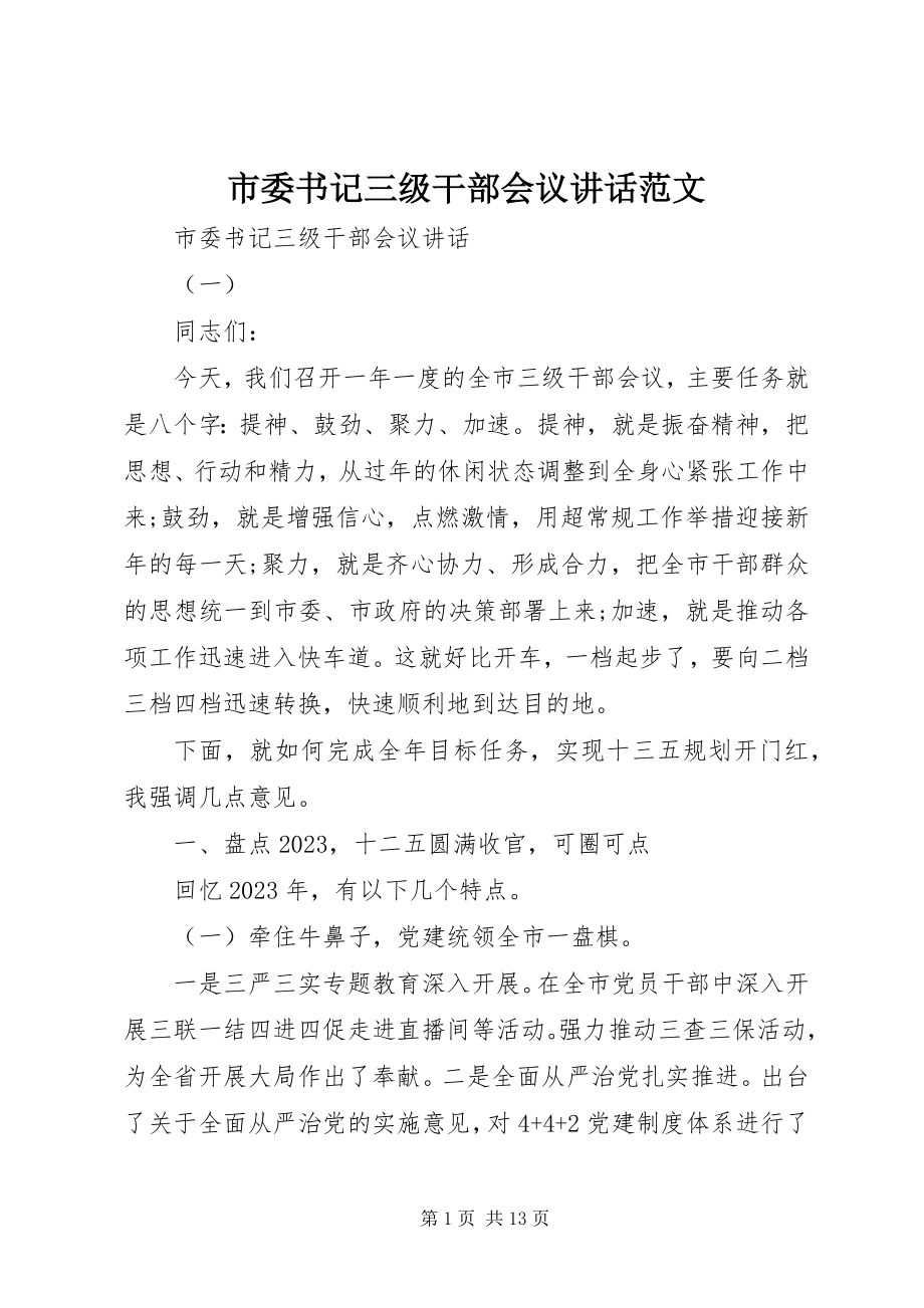 2023年市委书记三级干部会议致辞2.docx_第1页