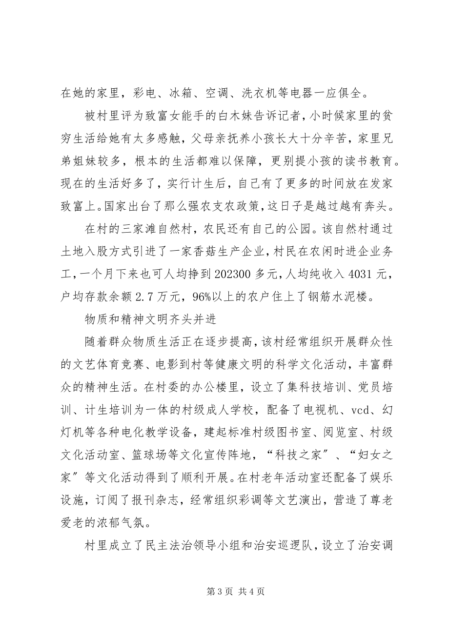 2023年文明创建先进村典型经验材料.docx_第3页