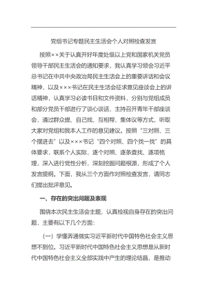 专题民主生活会个人对照检查发言.docx