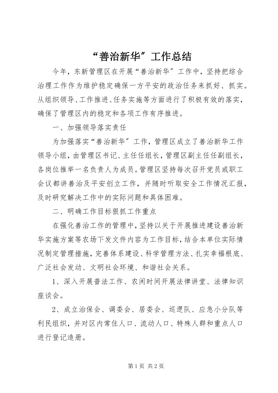 2023年善治新华工作总结.docx_第1页