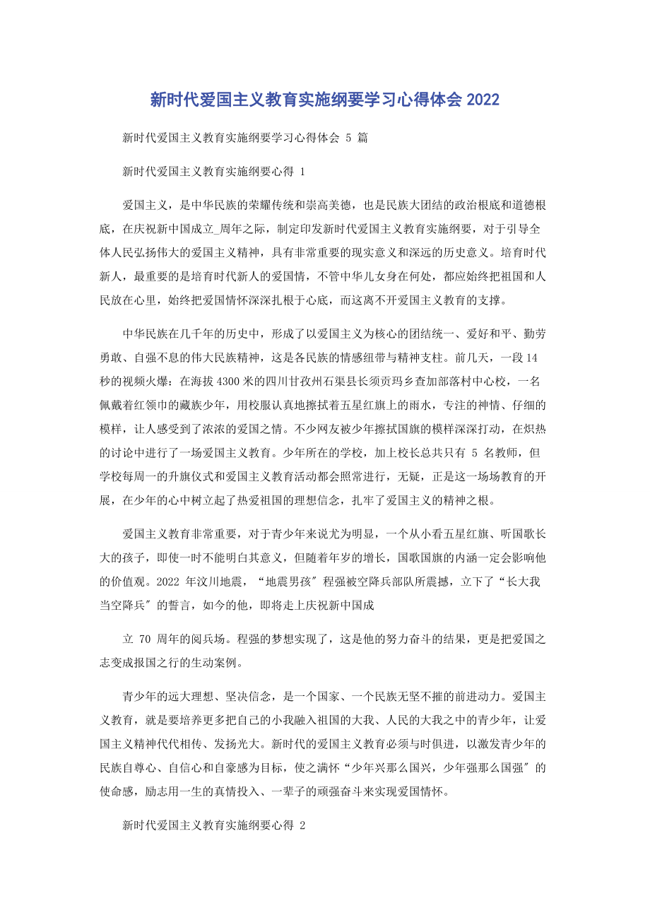 2023年新时代爱国主义教育实施纲要学习心得体会.docx_第1页