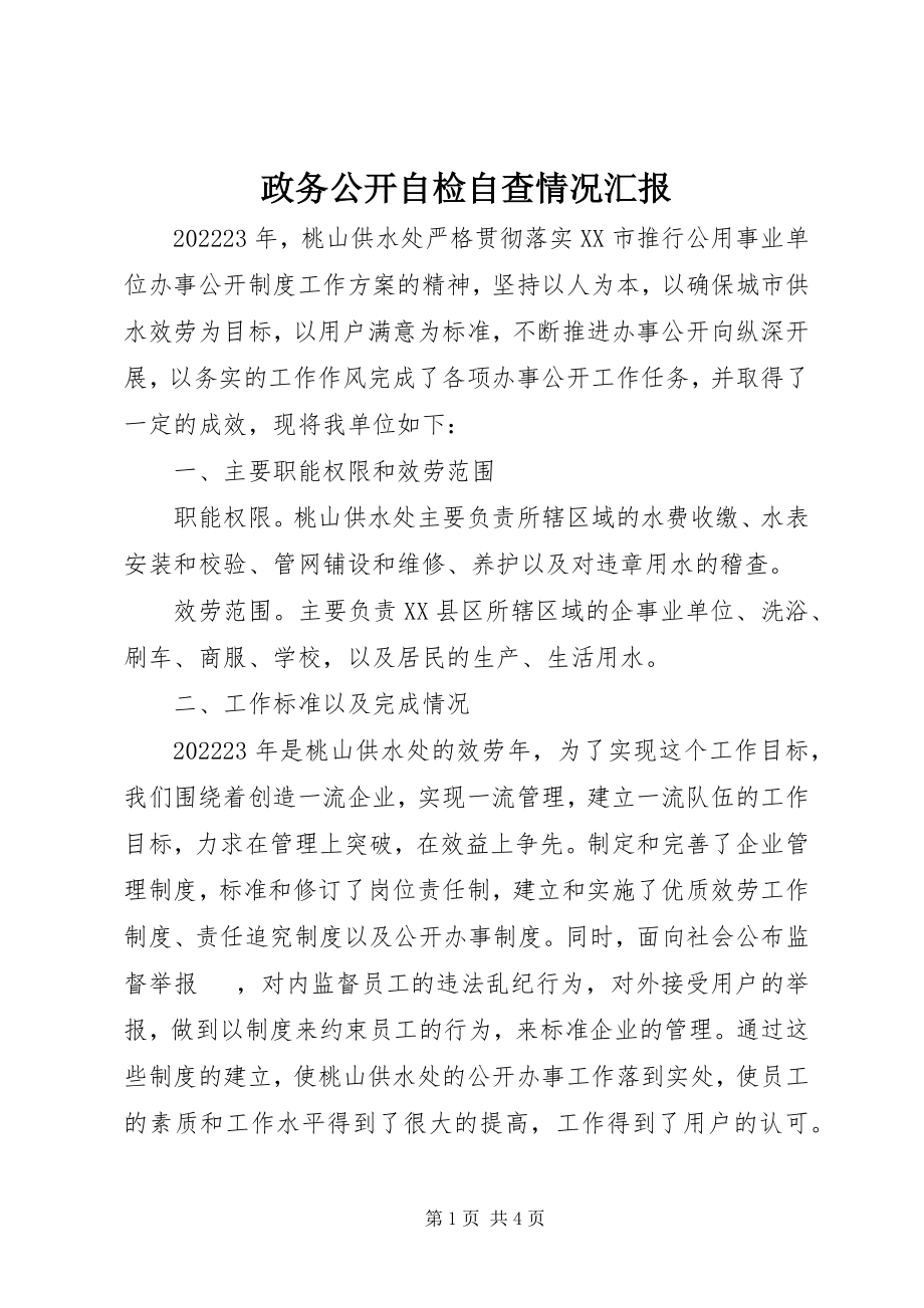 2023年政务公开自检自查情况汇报.docx_第1页