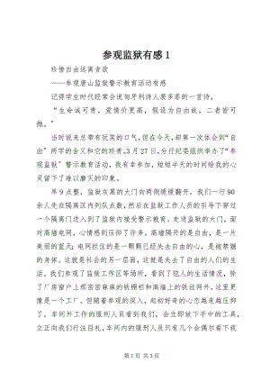 2023年参观监狱有感新编.docx