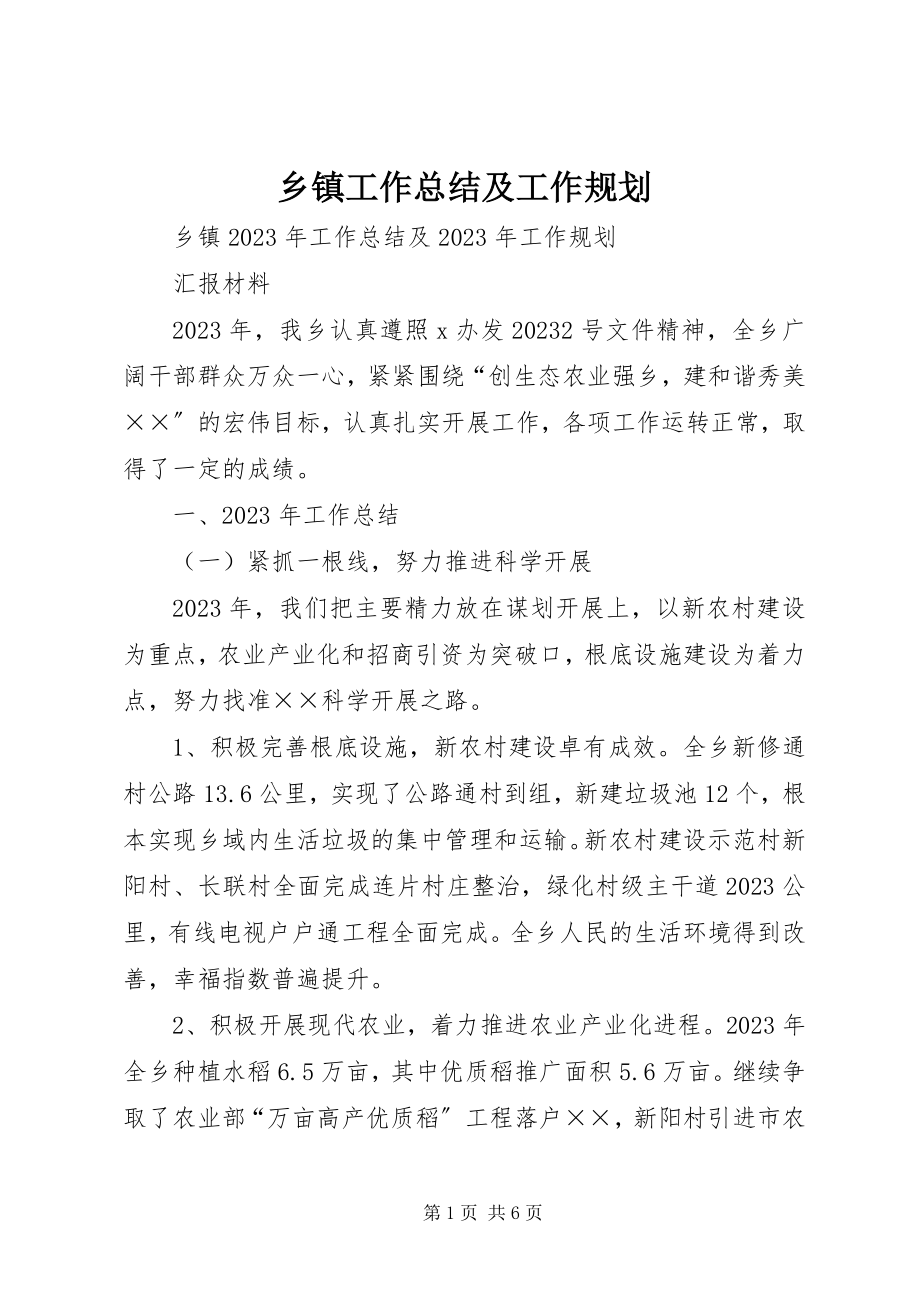 2023年乡镇工作总结及工作规划.docx_第1页