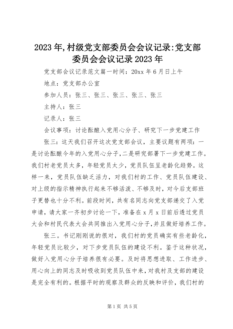 2023年村级党支部委员会会议记录党支部委员会会议记录.docx_第1页