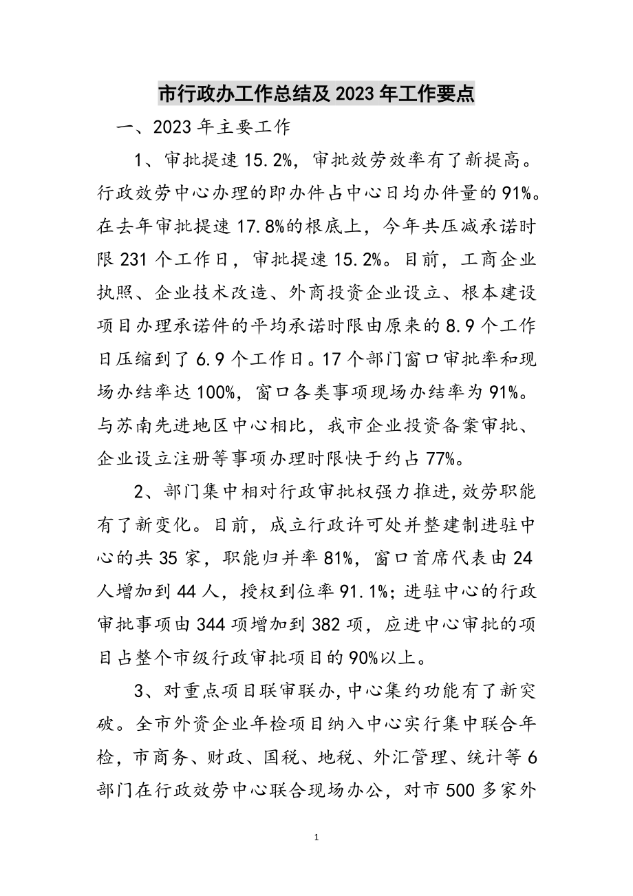 2023年市行政办工作总结及年工作要点范文.doc_第1页