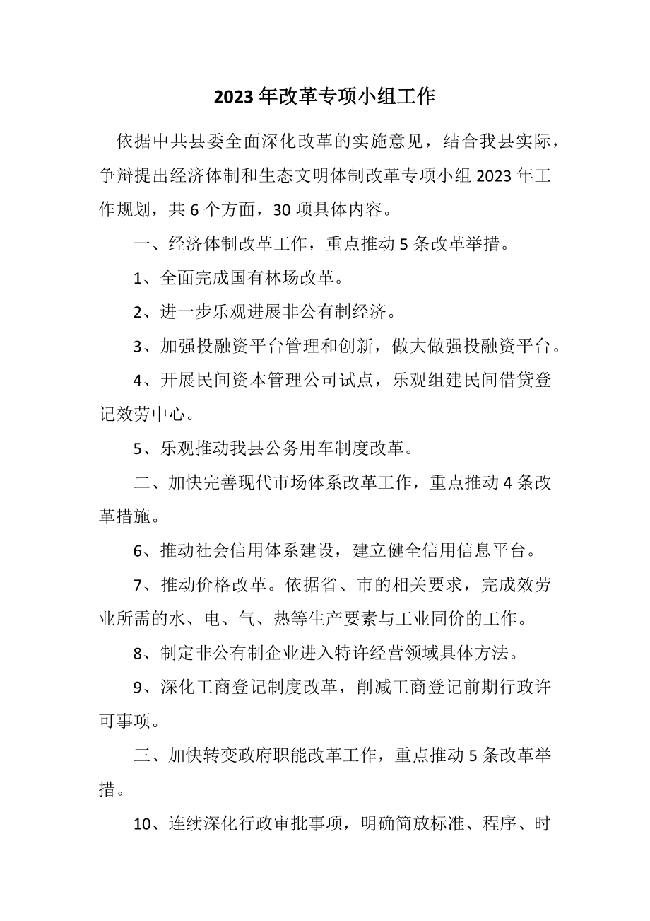 2023年改革专项小组工作计划.docx_第1页