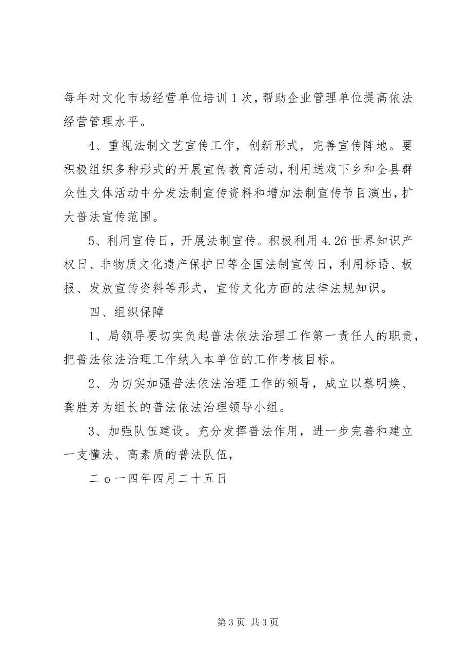 2023年XX县区文广新局普法依法治理工作规划新编.docx_第3页