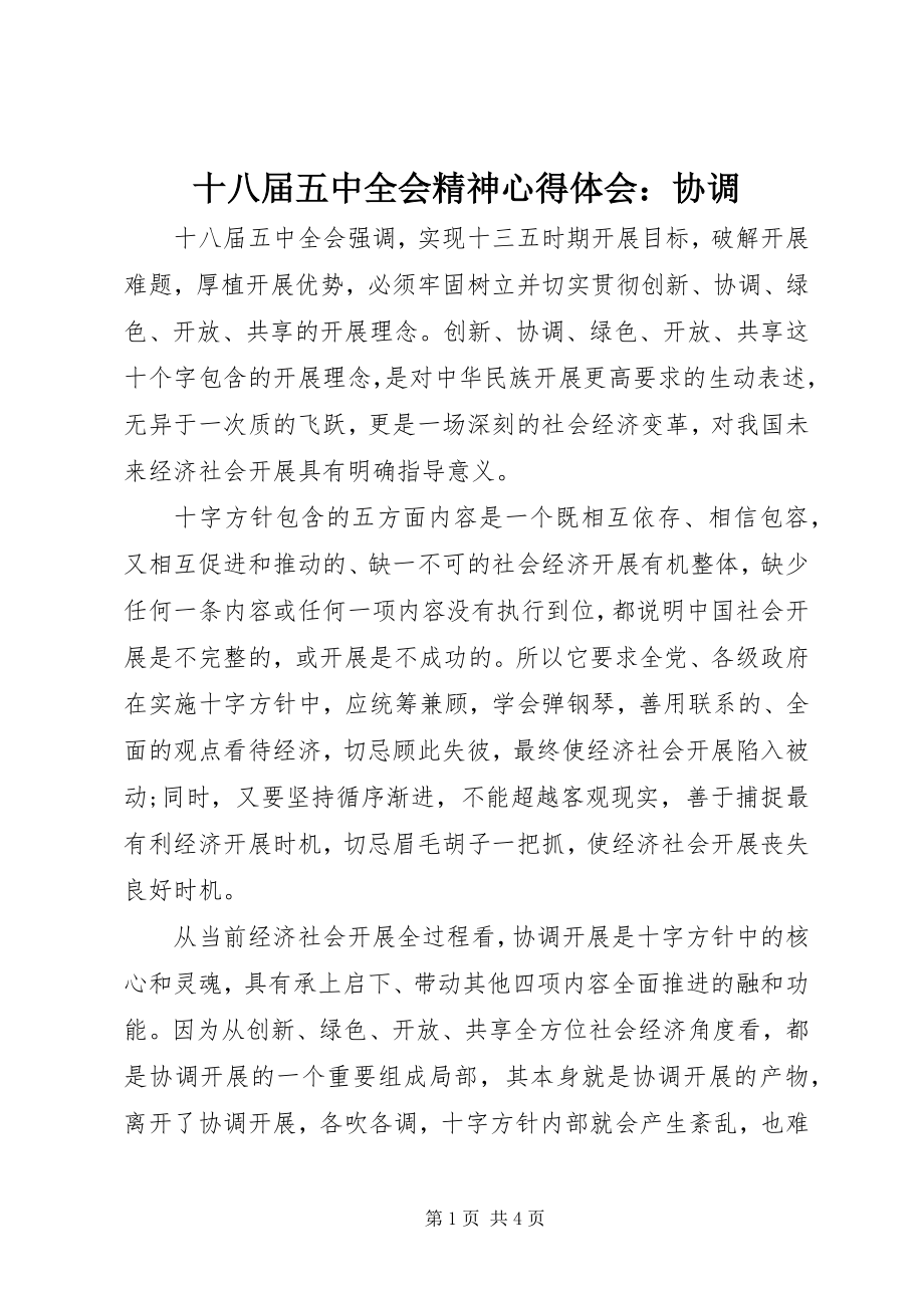 2023年十八届五中全会精神心得体会协调.docx_第1页