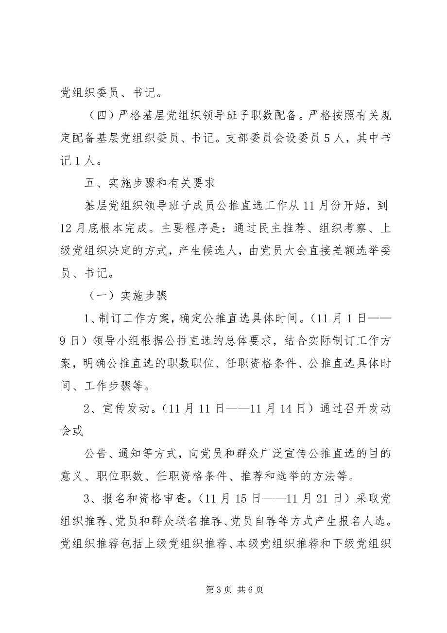 2023年公推直选换届选举方案.docx_第3页