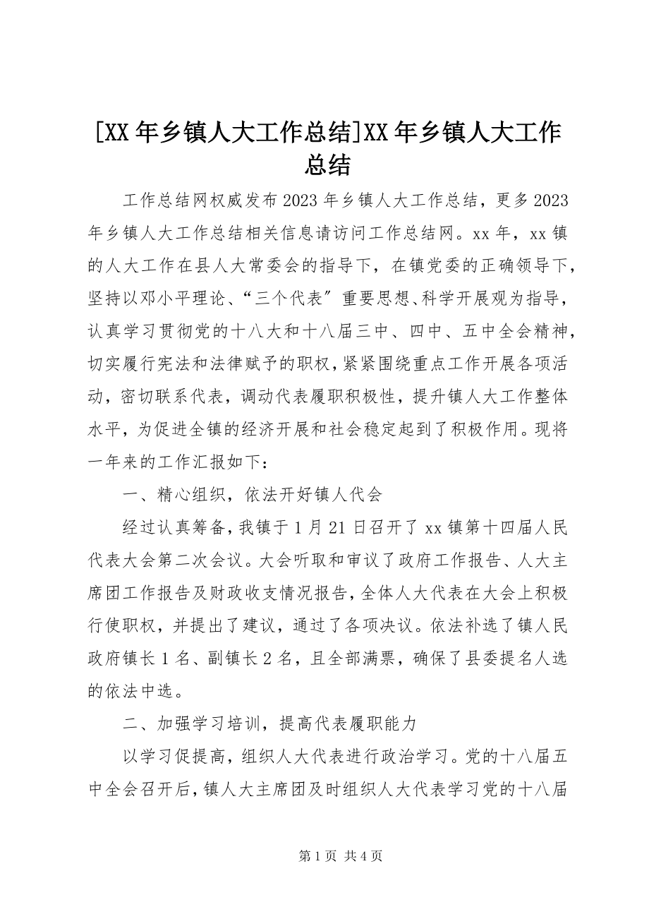 2023年乡镇人大工作总结乡镇人大工作总结.docx_第1页