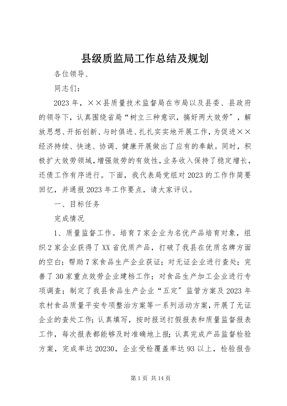 2023年县级质监局工作总结及规划.docx_第1页