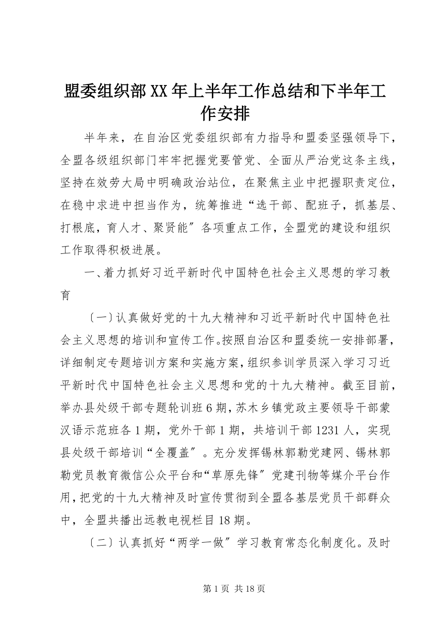 2023年盟委组织部上半年工作总结和下半工作安排.docx_第1页