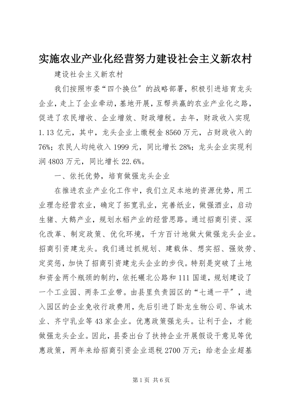 2023年实施农业产业化经营努力建设社会主义新农村.docx_第1页