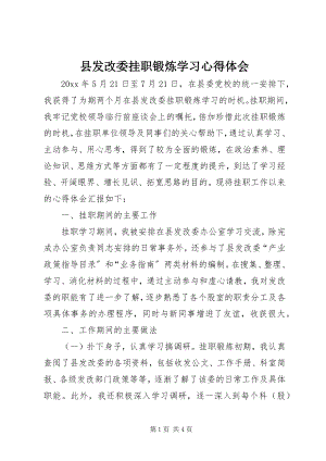 2023年县发改委挂职锻炼学习心得体会.docx