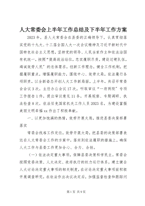 2023年人大常委会上半年工作总结及下半年工作计划.docx