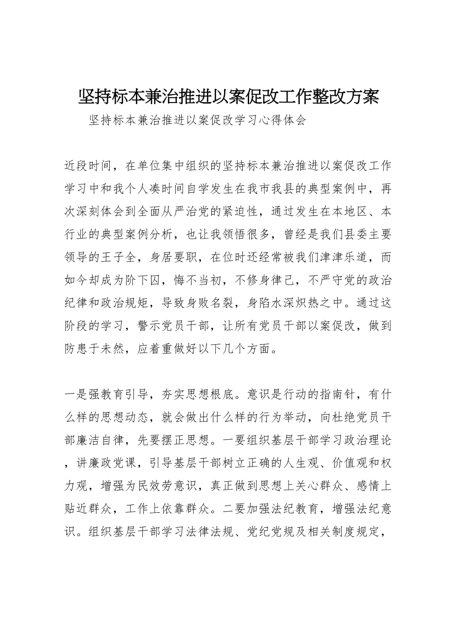 2023年坚持标本兼治推进以案促改工作整改方案 4.doc_第1页