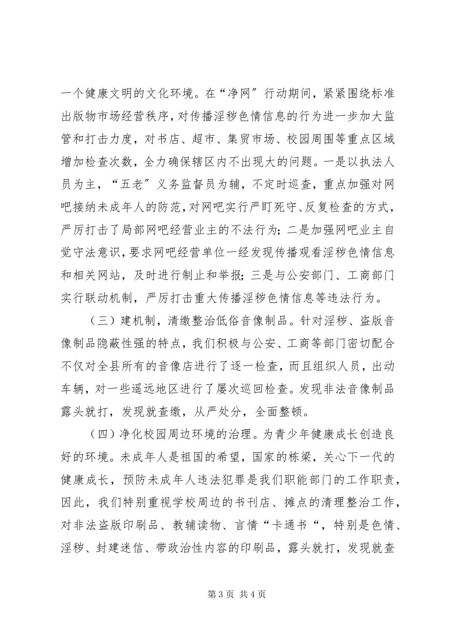 2023年扫黄打非四个专项行动工作总结.docx_第3页